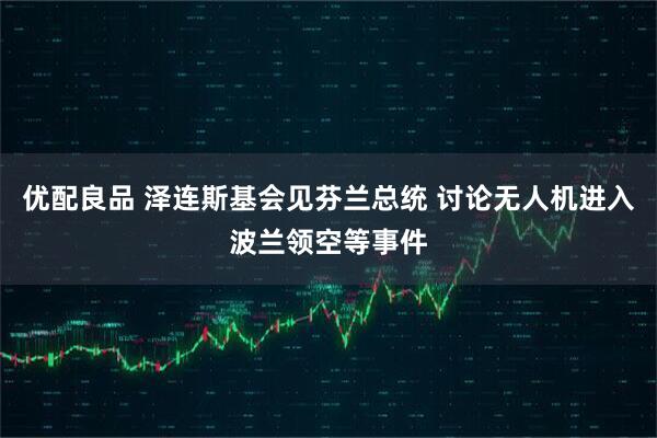 优配良品 泽连斯基会见芬兰总统 讨论无人机进入波兰领空等事件