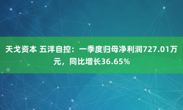 天戈资本 五洋自控：一季度归母净利润727.01万元，同比增长36.65%