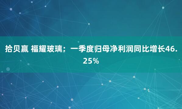 拾贝赢 福耀玻璃：一季度归母净利润同比增长46.25%