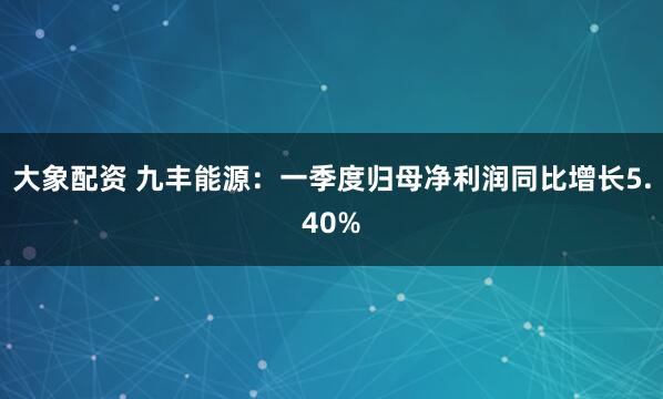 大象配资 九丰能源：一季度归母净利润同比增长5.40%