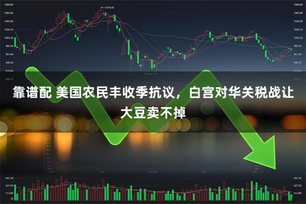 靠谱配 美国农民丰收季抗议，白宫对华关税战让大豆卖不掉