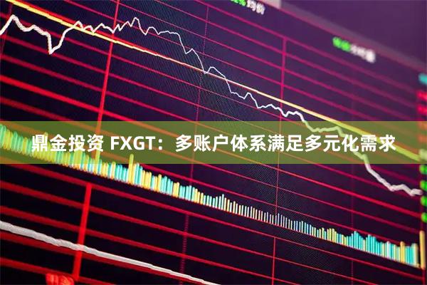 鼎金投资 FXGT：多账户体系满足多元化需求