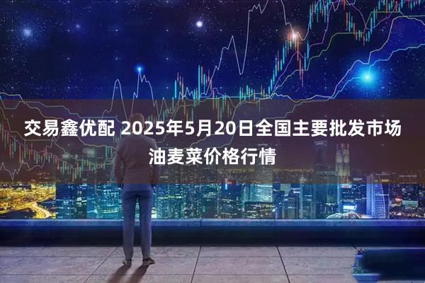 交易鑫优配 2025年5月20日全国主要批发市场油麦菜价格行情