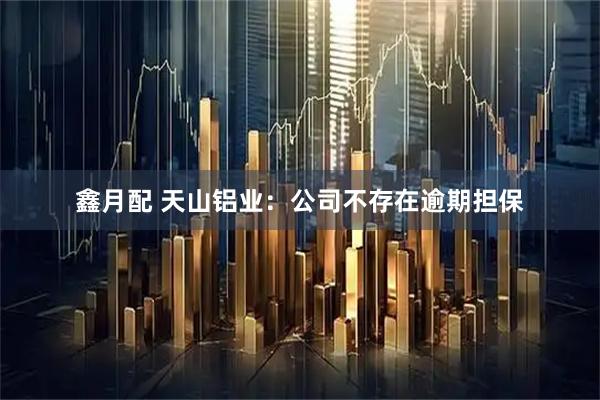 鑫月配 天山铝业：公司不存在逾期担保