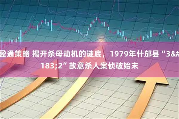 盈通策略 揭开杀母动机的谜底，1979年什邡县“3·2”故意杀人案侦破始末