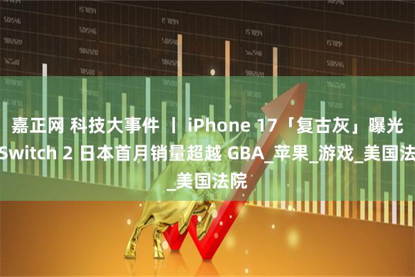 嘉正网 科技大事件 丨 iPhone 17「复古灰」曝光；Switch 2 日本首月销量超越 GBA_苹果_游戏_美国法院